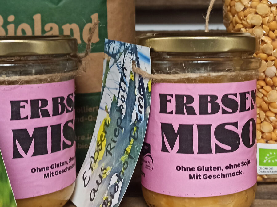 Helles Miso aus Riepholmer Erbsen
